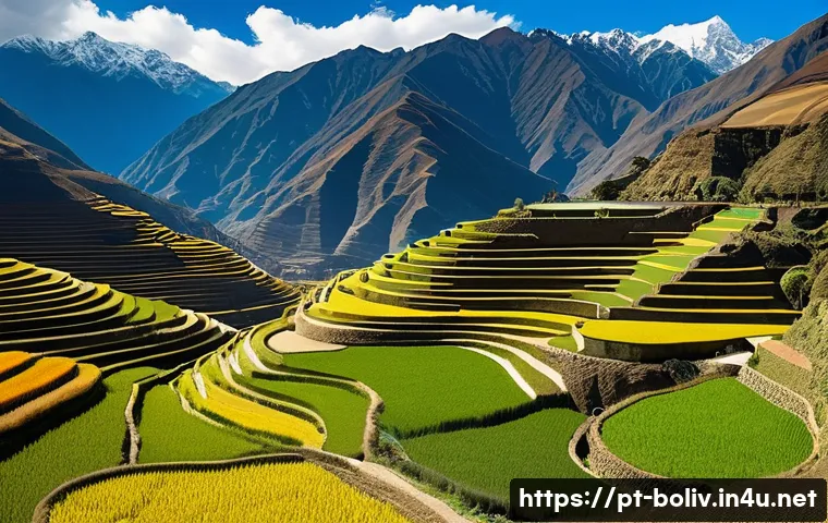 잉카 문명과 볼리비아 - A breathtaking panoramic view of ancient Andean terraced agriculture carved into steep mountain slop...